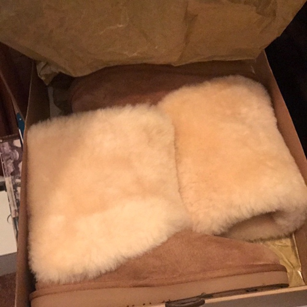 Ugg boots Patten Ankle Boot